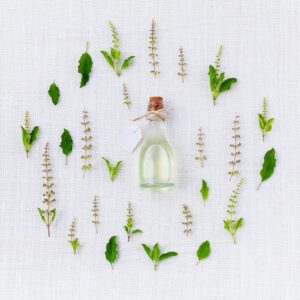 Medicinal Garden Kit