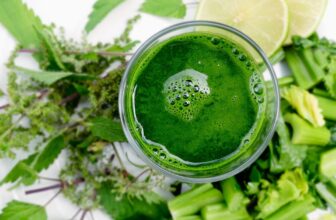 The Smoothie Diet&trade; 21 Day Weight Loss Program
