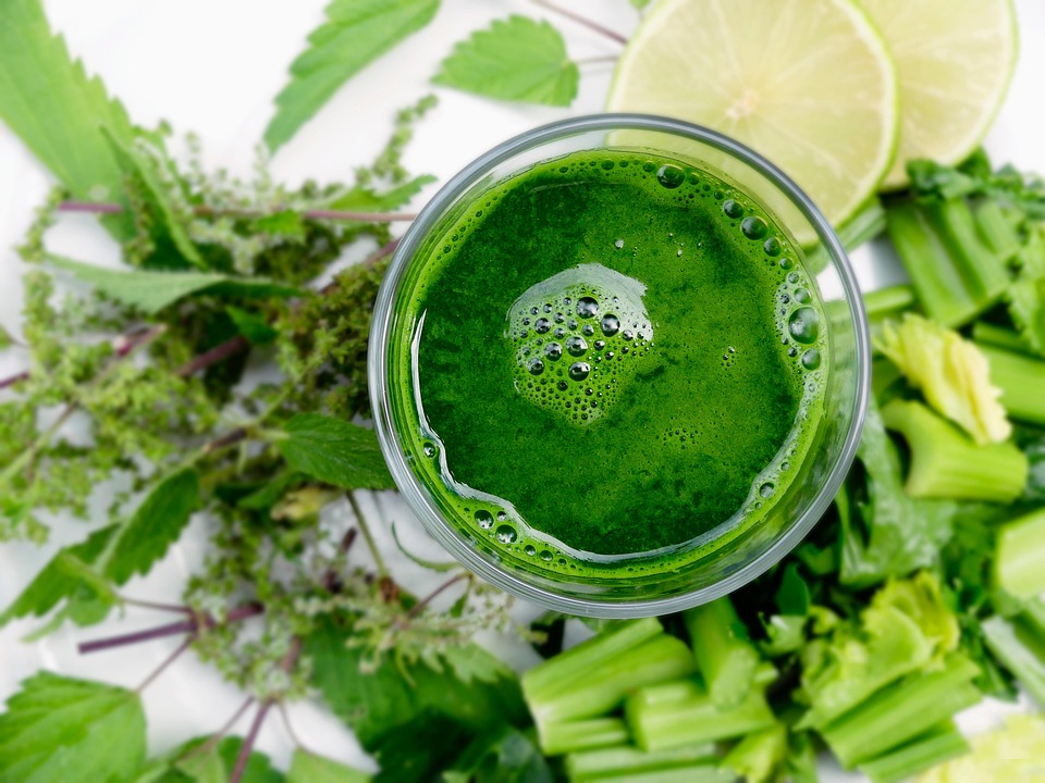 The Smoothie Diet&trade; 21 Day Weight Loss Program