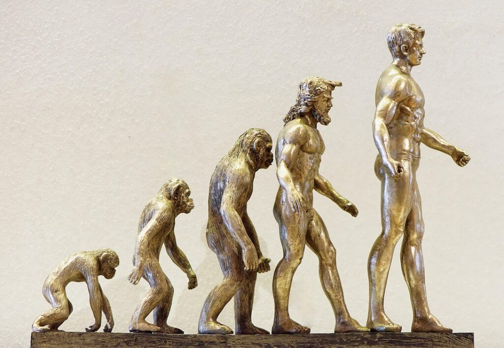 Evolution: The NEW Method For Getting Traffic and Sales