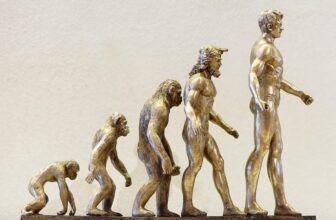 Evolution: The NEW Method For Getting Traffic and Sales
