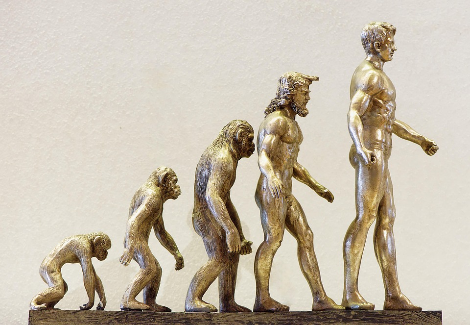 Evolution: The NEW Method For Getting Traffic and Sales