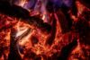 Burn The Fat Guide To Flexible Meal Planning For Fat Loss